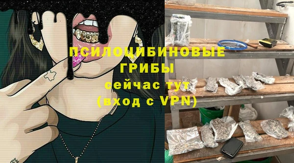 кокс Баксан