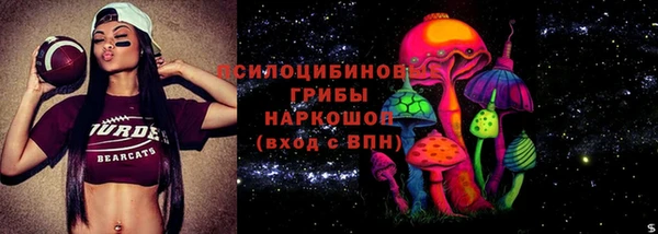 кокс Баксан